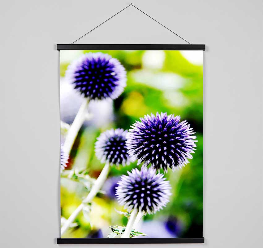 Purple Pom Poms Hanging Poster - Wallart-Direct UK