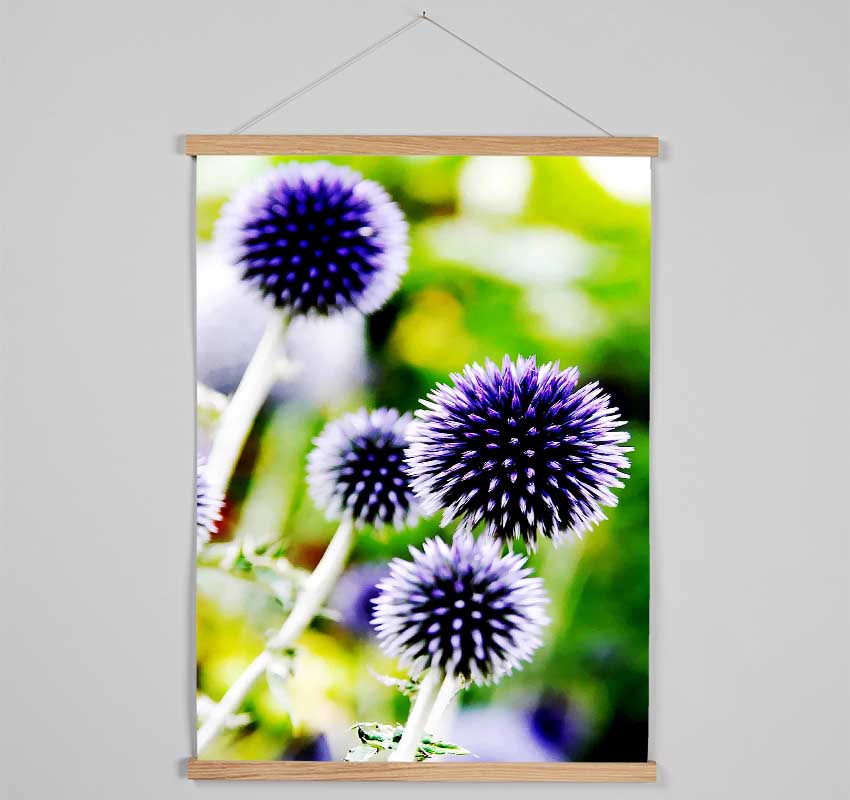 Purple Pom Poms Hanging Poster - Wallart-Direct UK