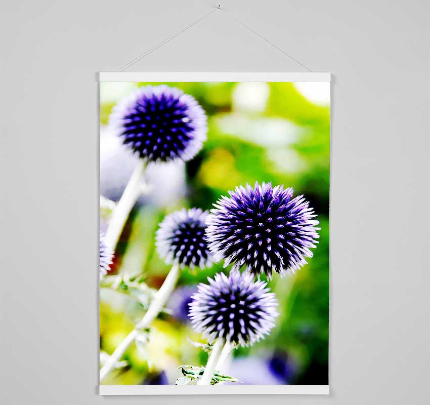 Purple Pom Poms Hanging Poster - Wallart-Direct UK