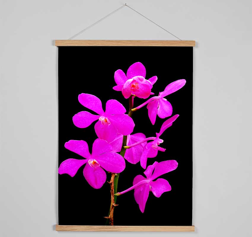 Vibrant Pinks Hanging Poster - Wallart-Direct UK