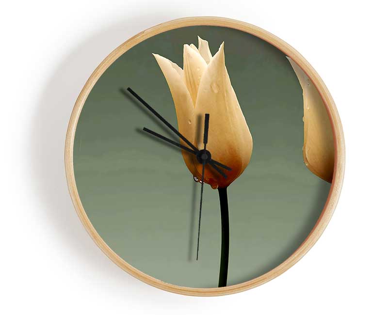 Cream Fire Tulips Clock - Wallart-Direct UK