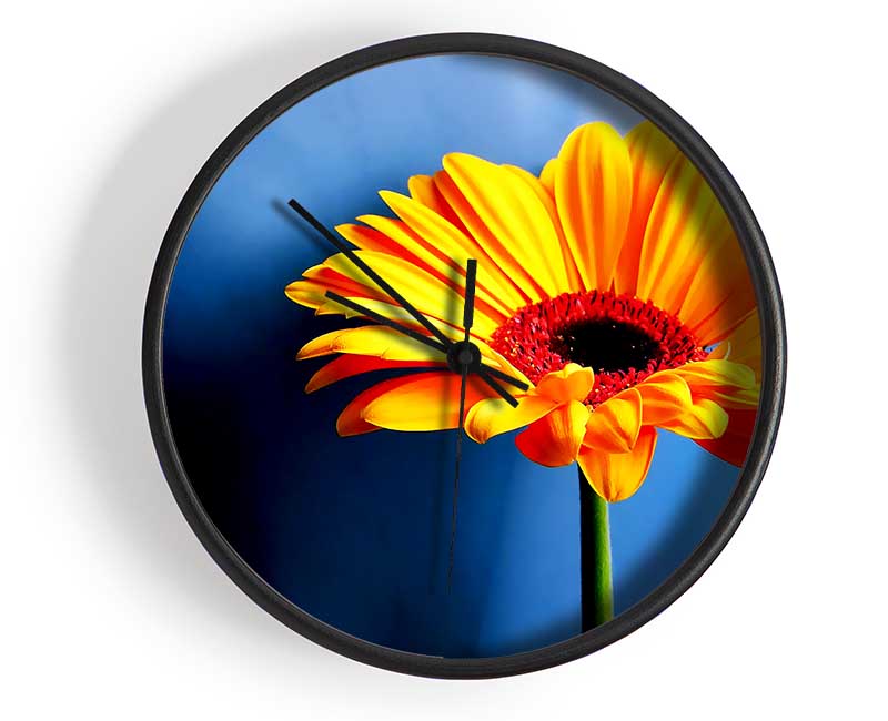 Single Orange Gerbera Clock - Wallart-Direct UK