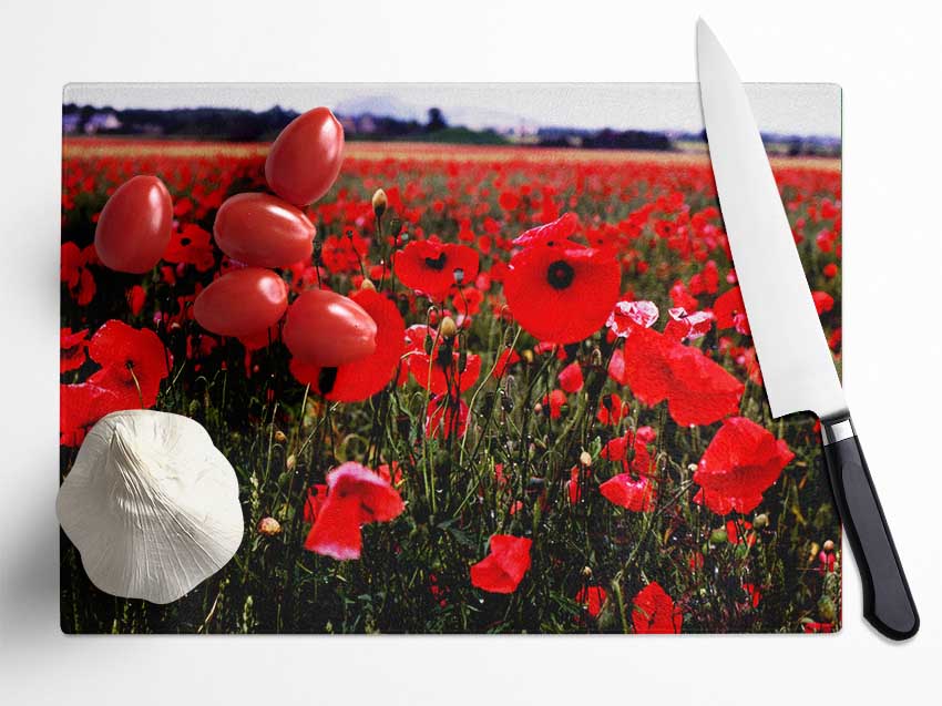 Red Poppy Field Hills Glass Chopping Board