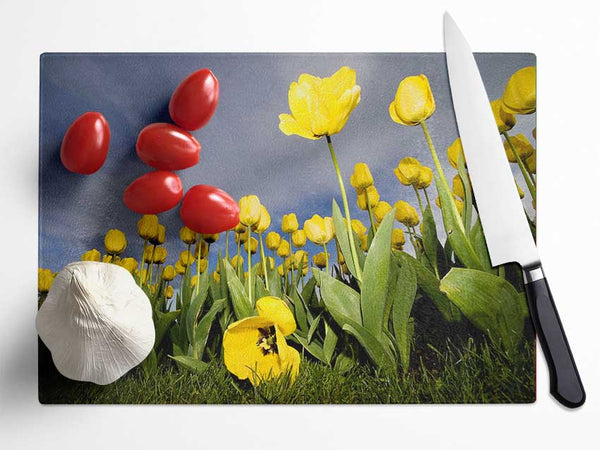 Yellow Daisy Storms Glass Chopping Board