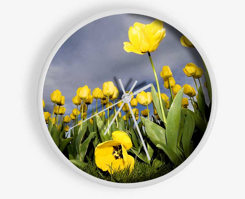 Yellow Daisy Storms Clock - Wallart-Direct UK