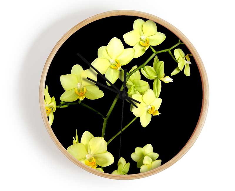 Yellow Star Flowers On Black Clock - Wallart-Direct UK