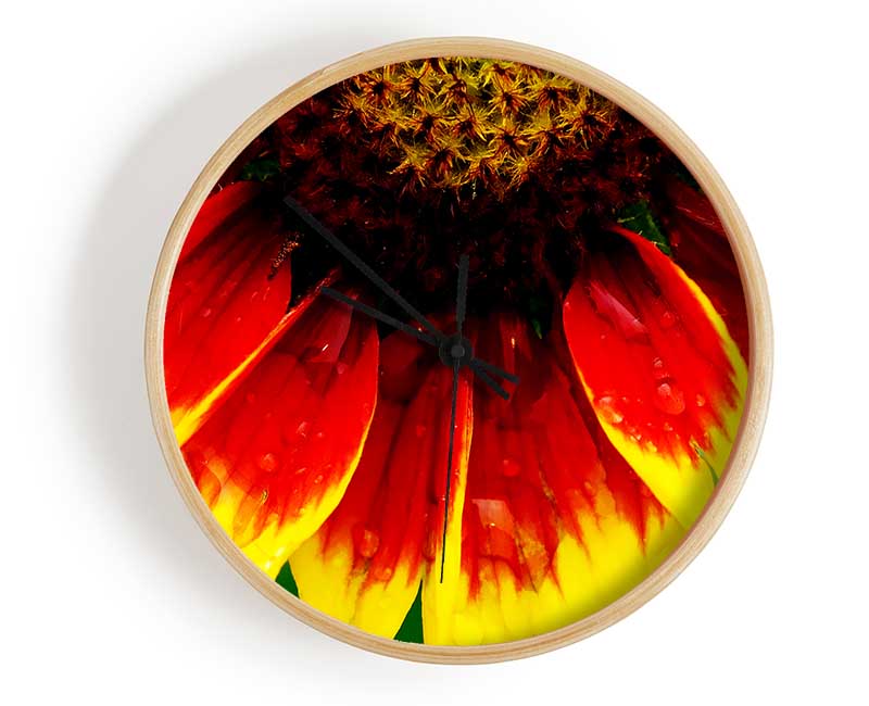 Fire Petal Dewdrop Clock - Wallart-Direct UK