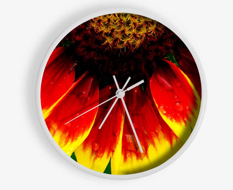 Fire Petal Dewdrop Clock - Wallart-Direct UK