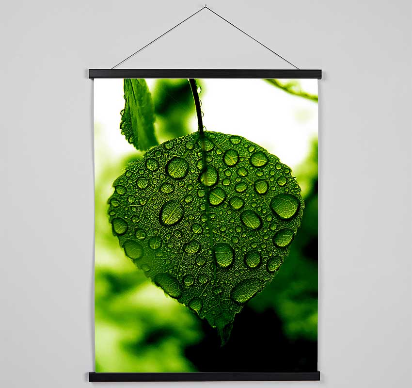 Waterdrops On A Leaf Hanging Poster - Wallart-Direct UK