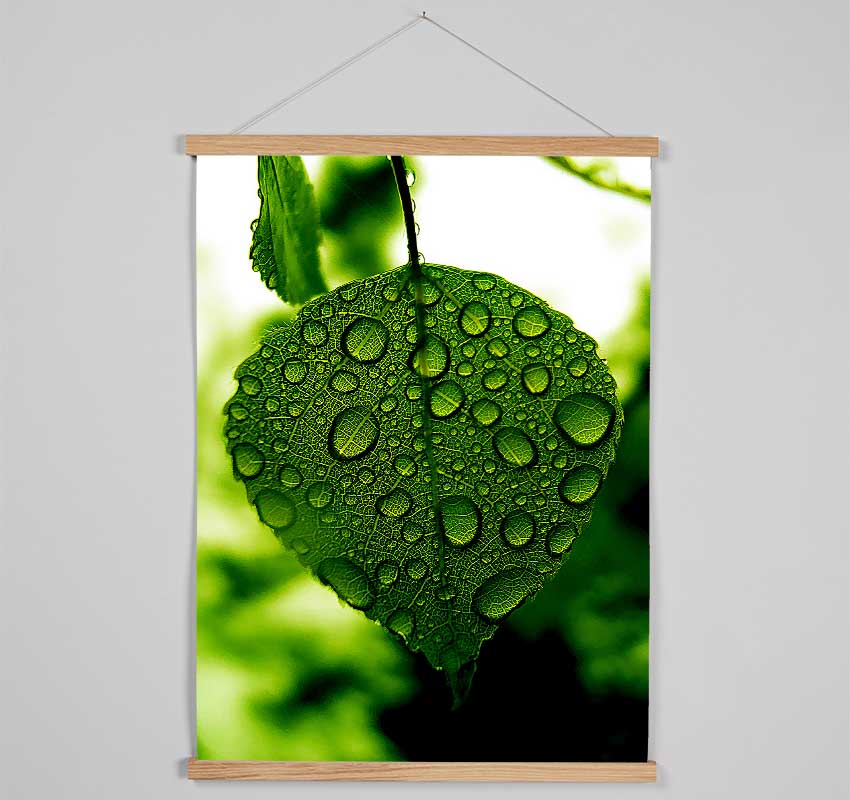 Waterdrops On A Leaf Hanging Poster - Wallart-Direct UK