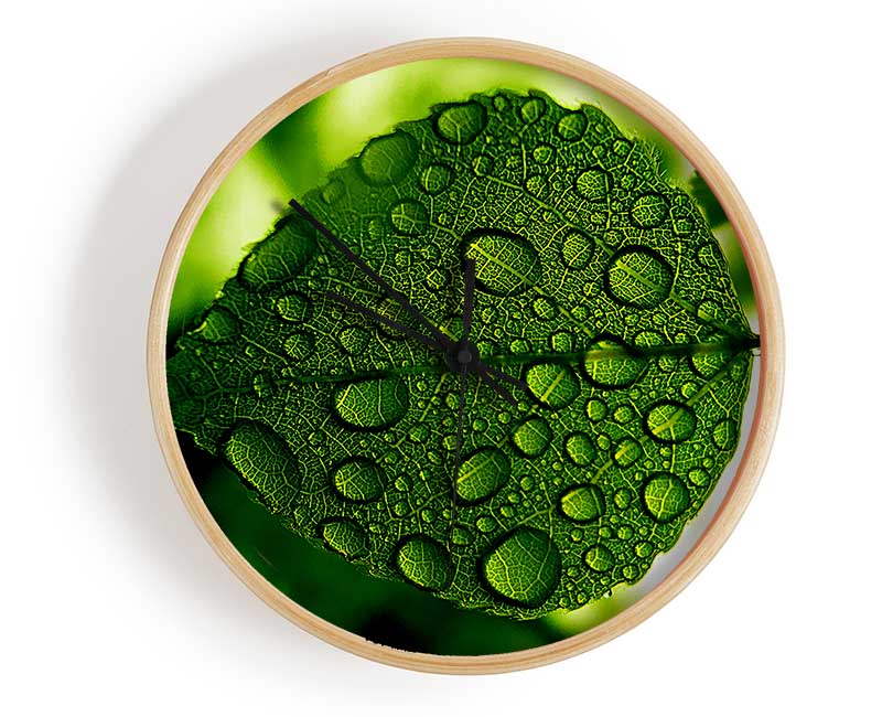 Morning Dew Leaf Clock - Wallart-Direct UK