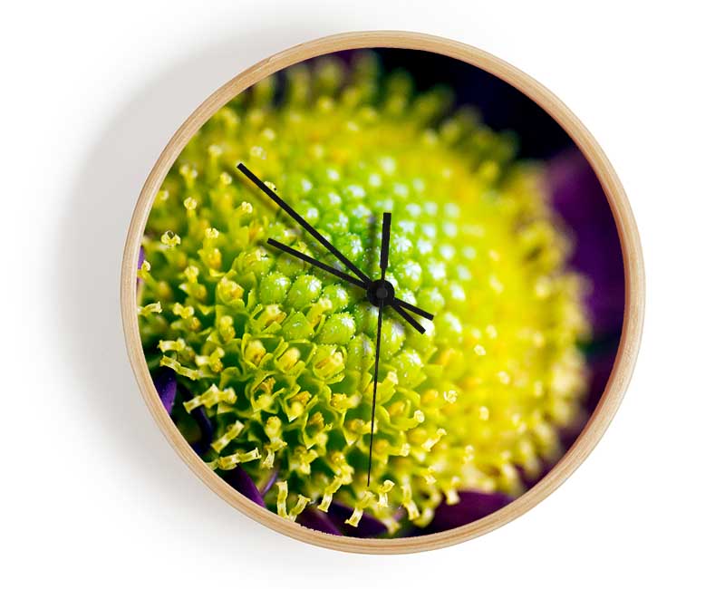 Purple Centre Of A Daisy Clock - Wallart-Direct UK