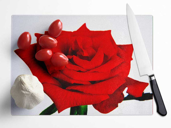 Red Rose In Bloom Glass Chopping Board