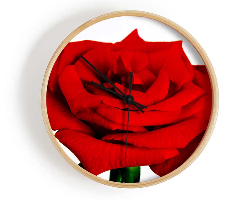 Red Rose In Bloom Clock - Wallart-Direct UK