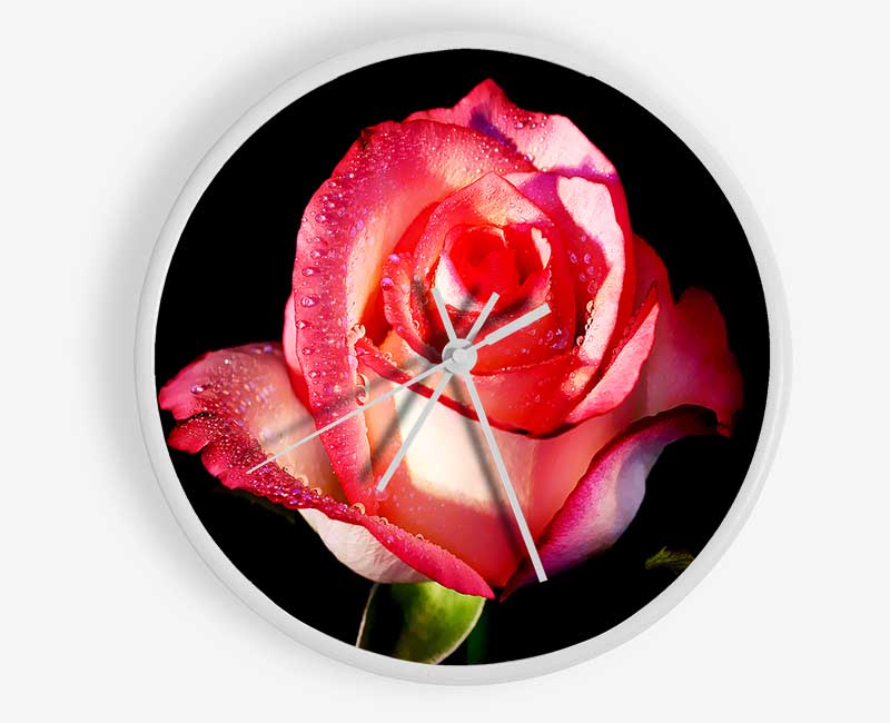 Pink Passion Rose Clock - Wallart-Direct UK