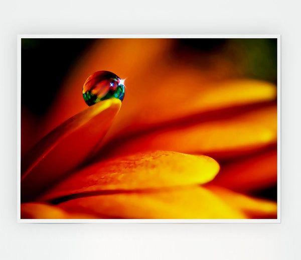 Fire Petal Reflection Print Poster Wall Art