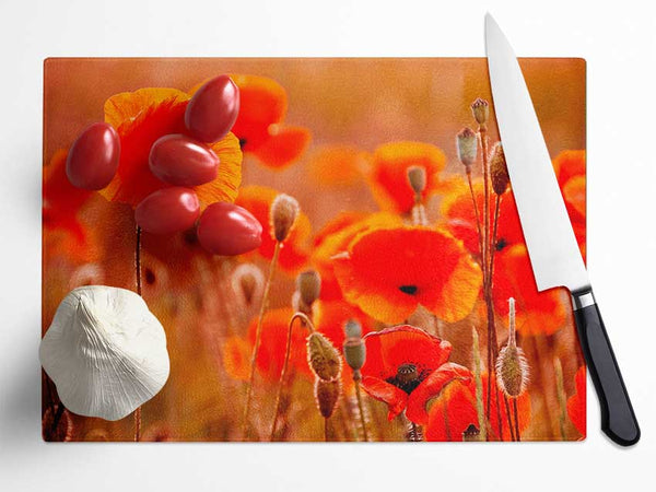 Orange Poppy Field Galour Glass Chopping Board