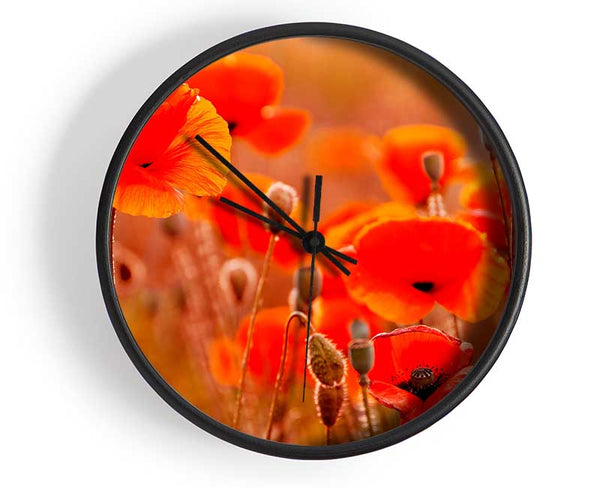 Orange Poppy Field Galour Clock - Wallart-Direct UK