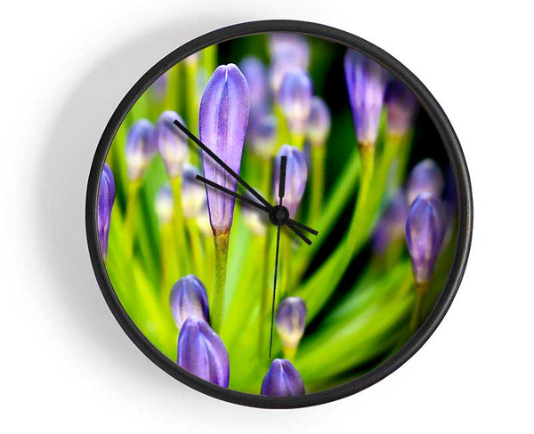 The Growth Of Purple Clock - Wallart-Direct UK