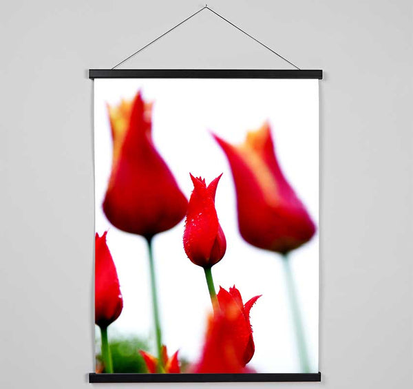 Red Fire Tulip Field Hanging Poster - Wallart-Direct UK