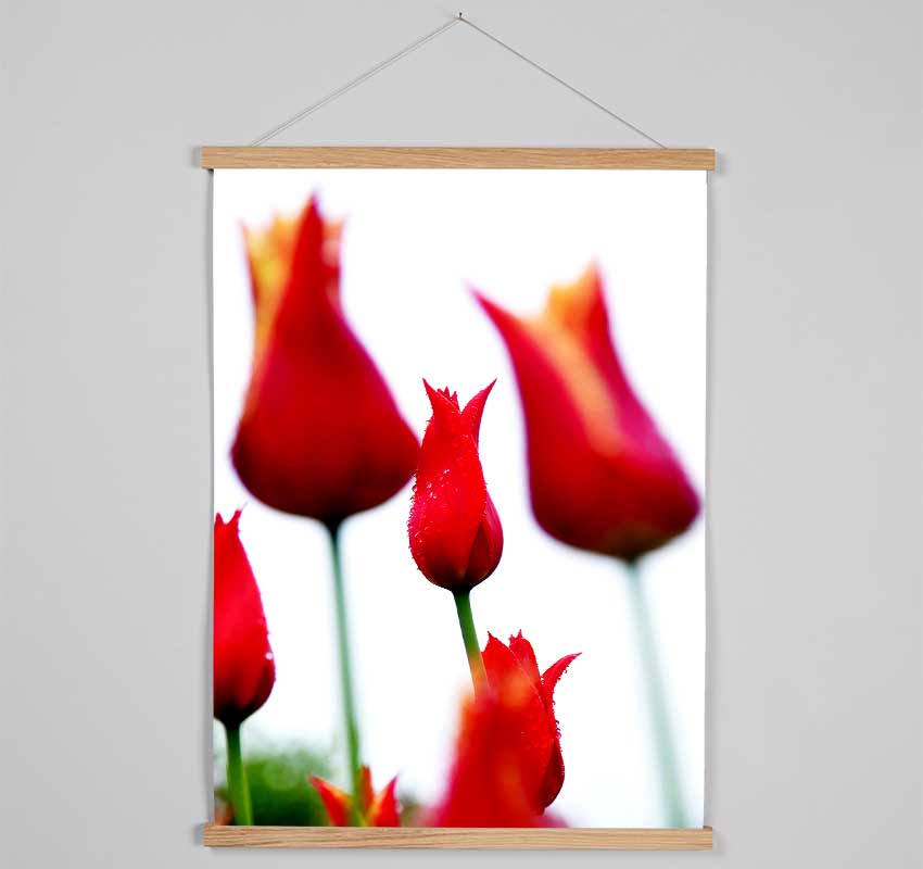 Red Fire Tulip Field Hanging Poster - Wallart-Direct UK