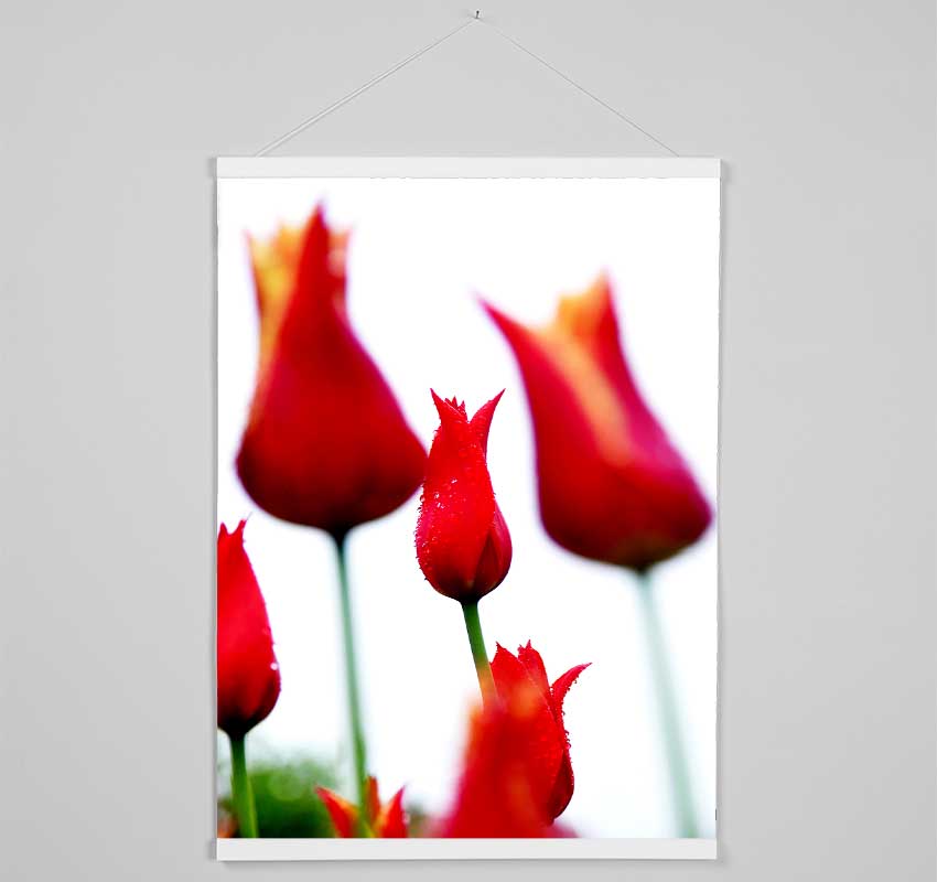 Red Fire Tulip Field Hanging Poster - Wallart-Direct UK