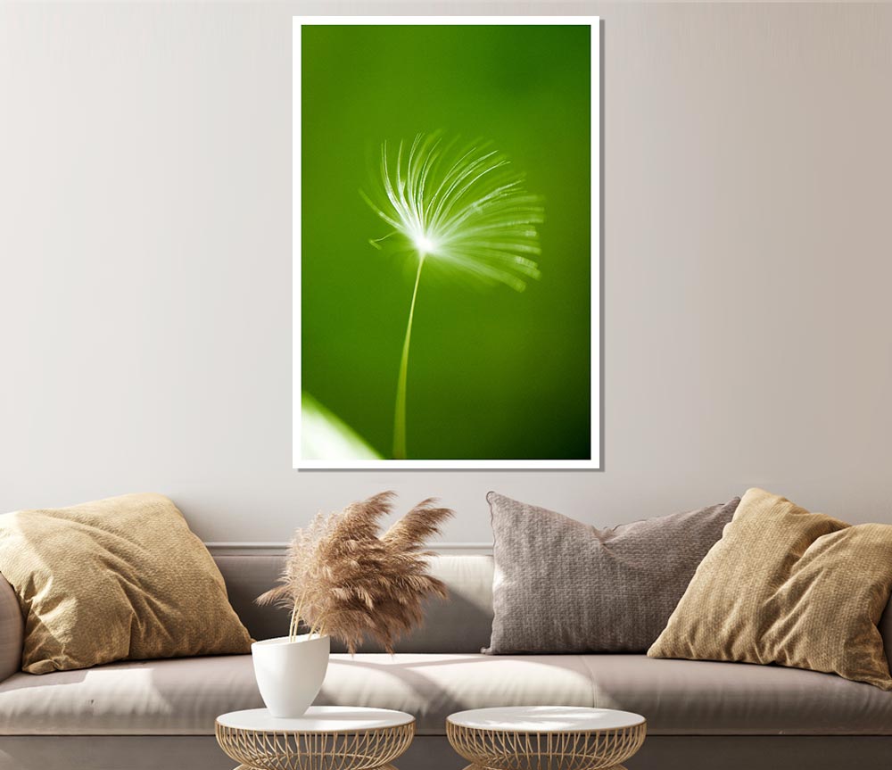 White Whisper Sunlight Print Poster Wall Art