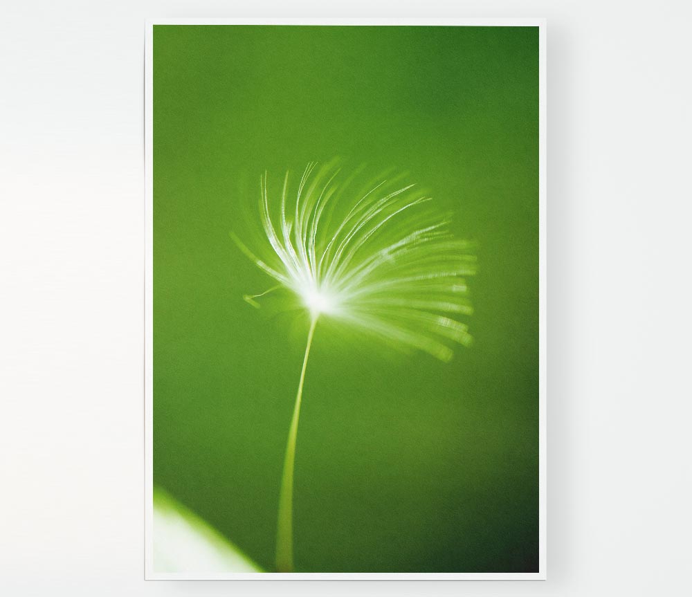 White Whisper Sunlight Print Poster Wall Art