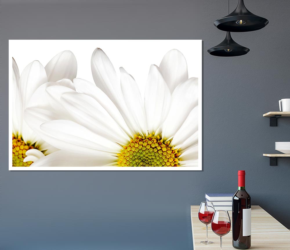 White Daisy Petals Print Poster Wall Art