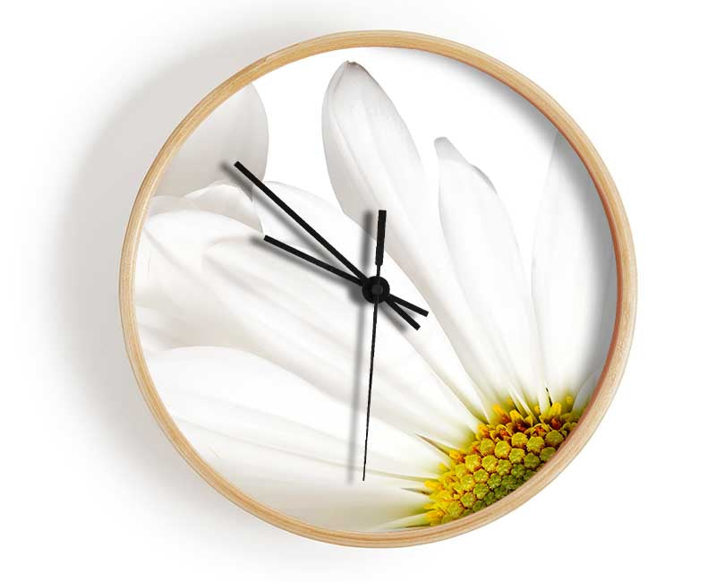 White Daisy Petals Clock - Wallart-Direct UK