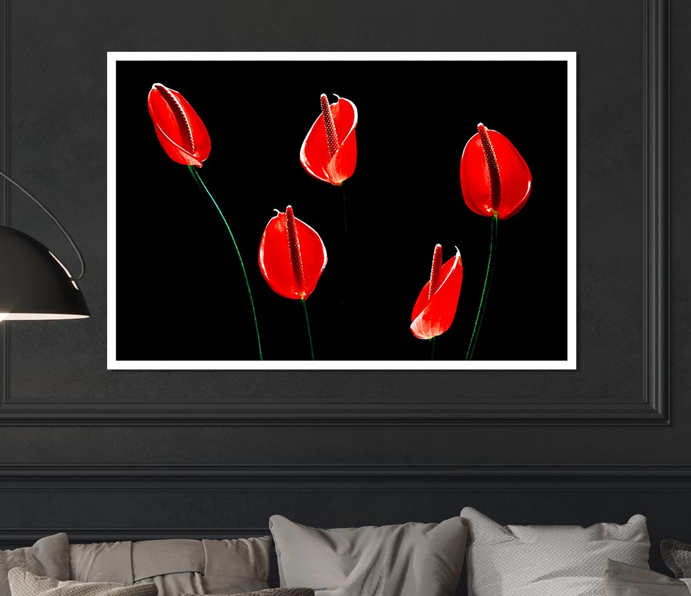 Beatiful Red Night Flowers Print Poster Wall Art