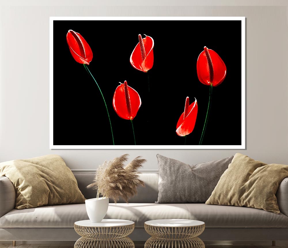 Beatiful Red Night Flowers Print Poster Wall Art