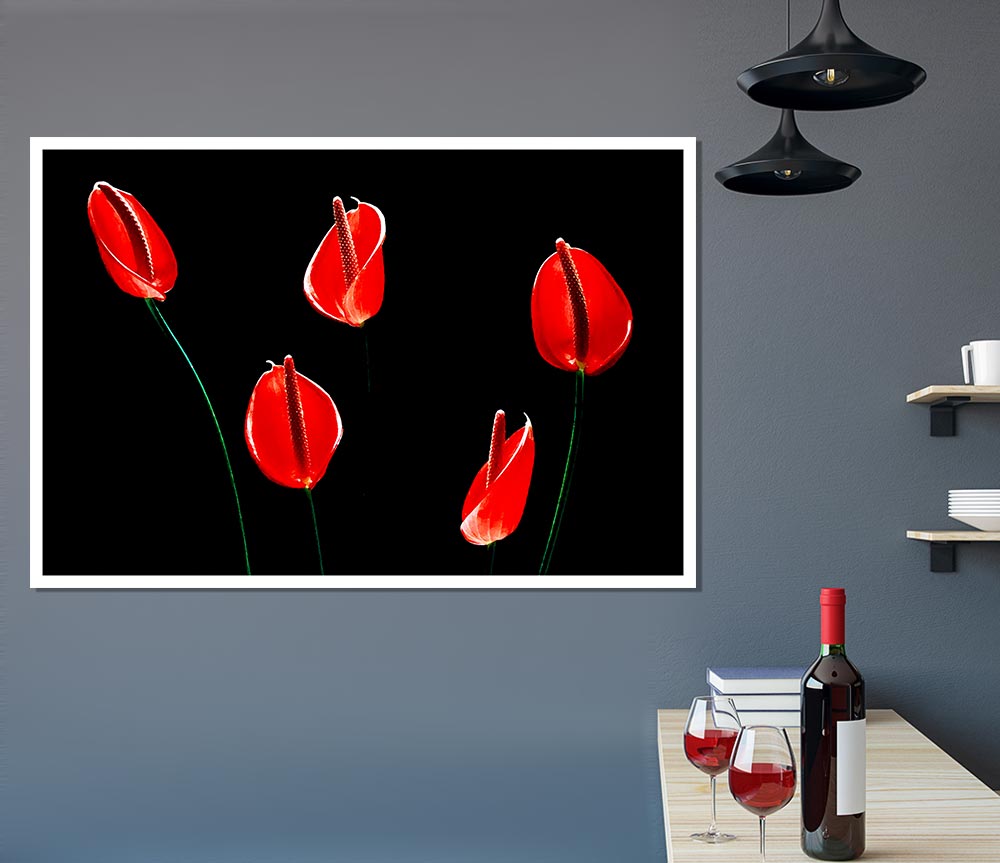 Beatiful Red Night Flowers Print Poster Wall Art