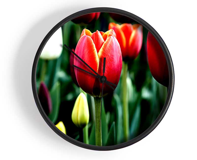 Tulips In Bloom Clock - Wallart-Direct UK