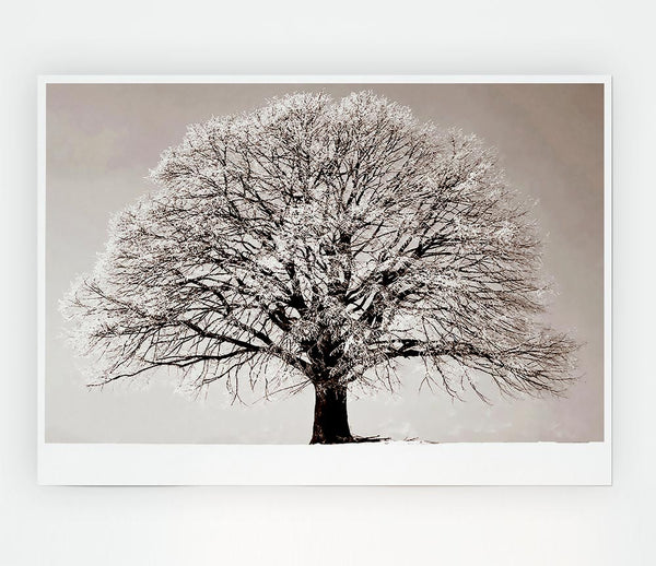 Lonely Winter Tree Print Poster Wall Art