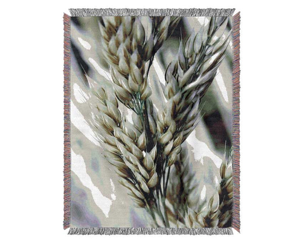 Soft Winters Barley Woven Blanket