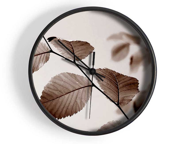 Cocoa Leaves Clock - Wallart-Direct UK