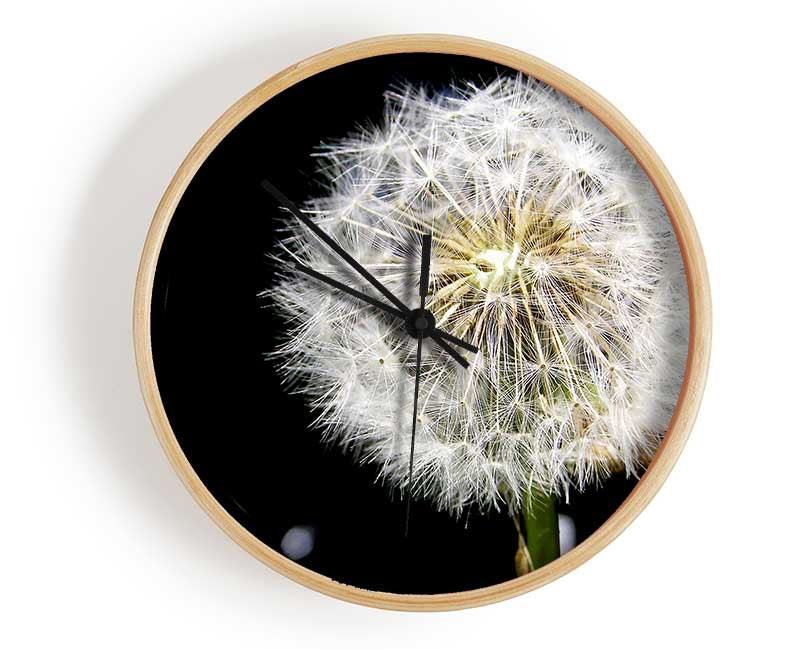 Dandelion Dream Clock - Wallart-Direct UK