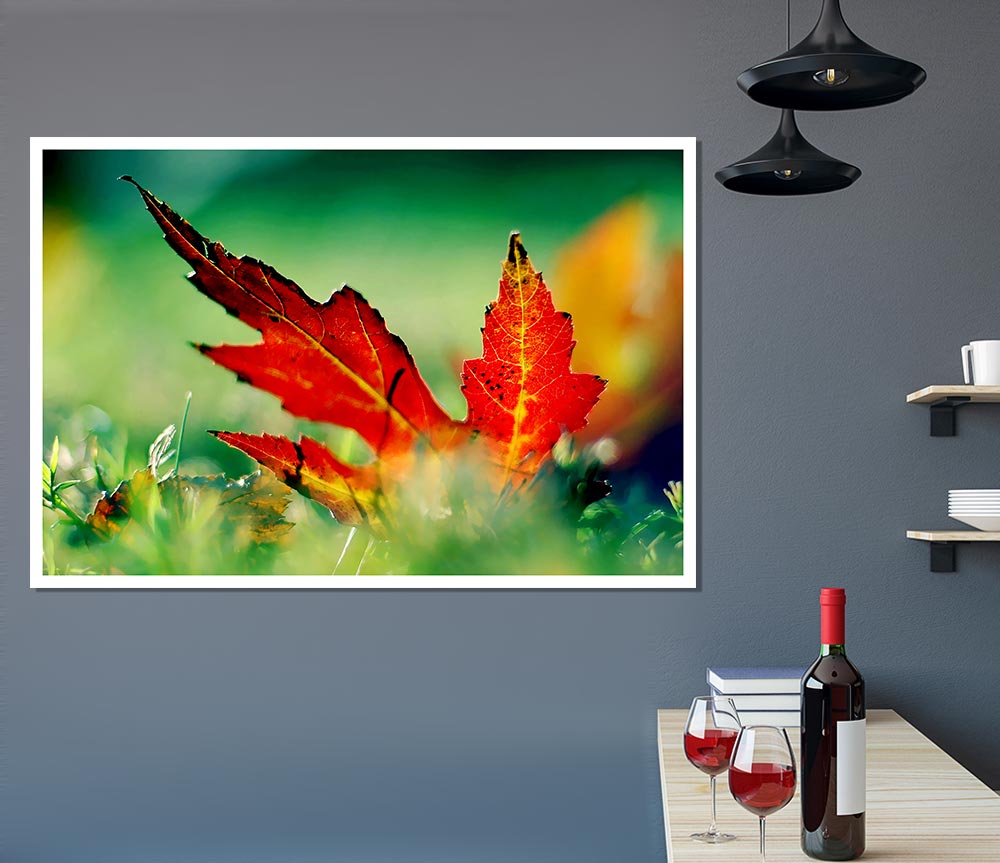 Autumn Red Leave On The Ground Print Poster Wall Art