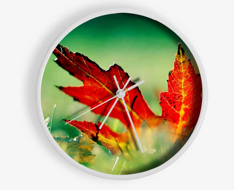 Autumn Red Leave On The Ground Clock - Wallart-Direct UK