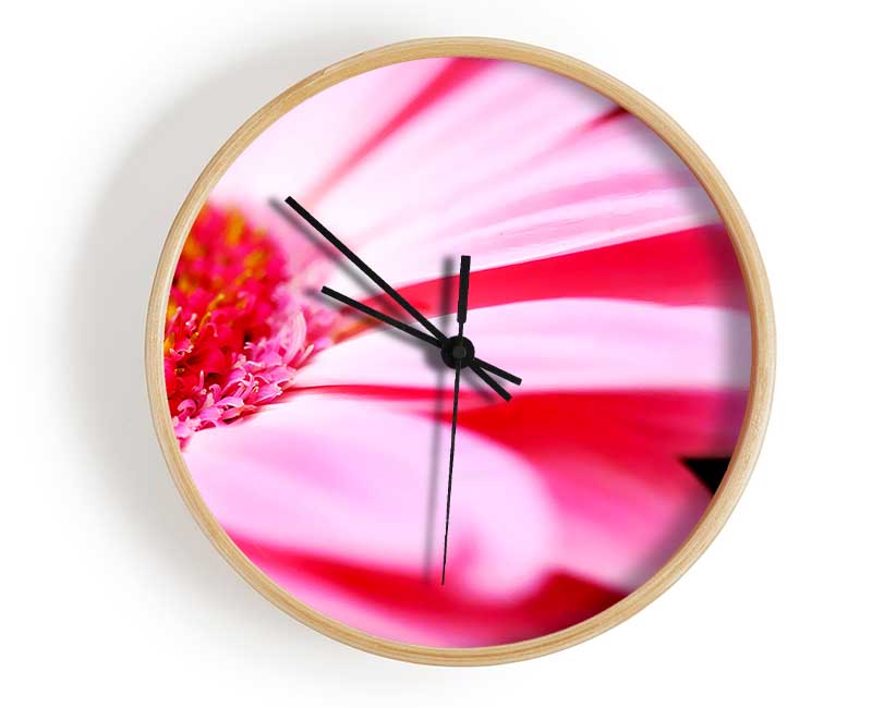 Pink Gerbera Close-Up Clock - Wallart-Direct UK