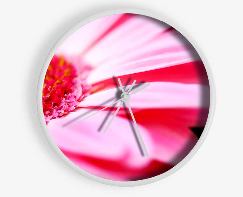 Pink Gerbera Close-Up Clock - Wallart-Direct UK