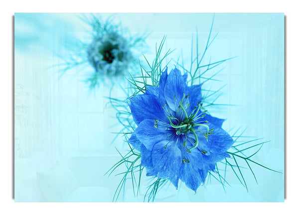 Blue On Blue Flower