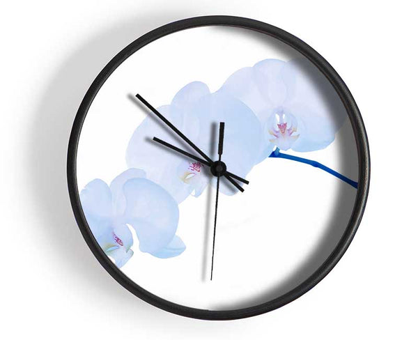 Baby Blue Stem Clock - Wallart-Direct UK