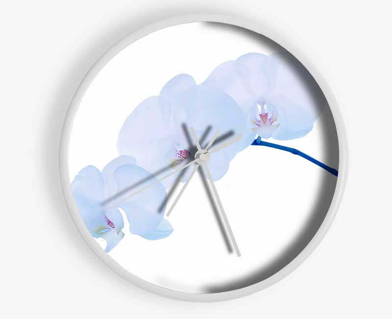 Baby Blue Stem Clock - Wallart-Direct UK