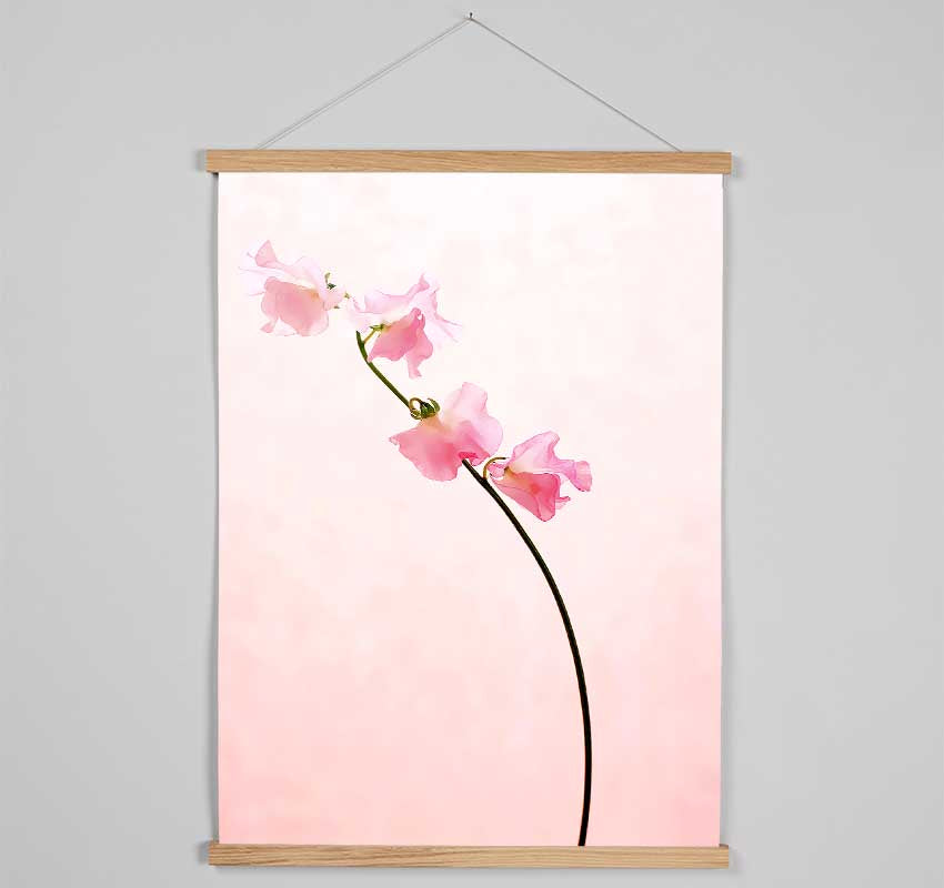 Pink On Pink Hanging Poster - Wallart-Direct UK