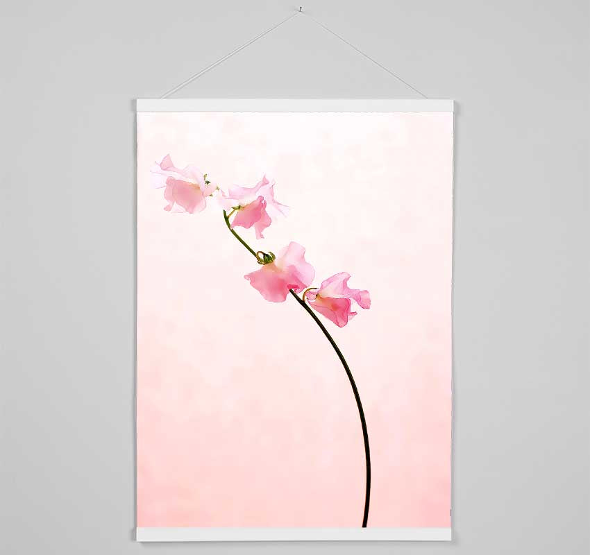 Pink On Pink Hanging Poster - Wallart-Direct UK