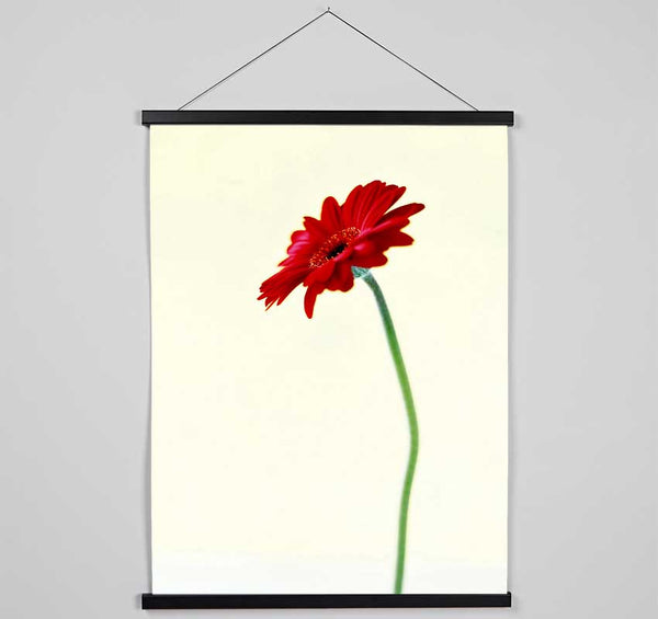 Single Red Gerbera Hanging Poster - Wallart-Direct UK