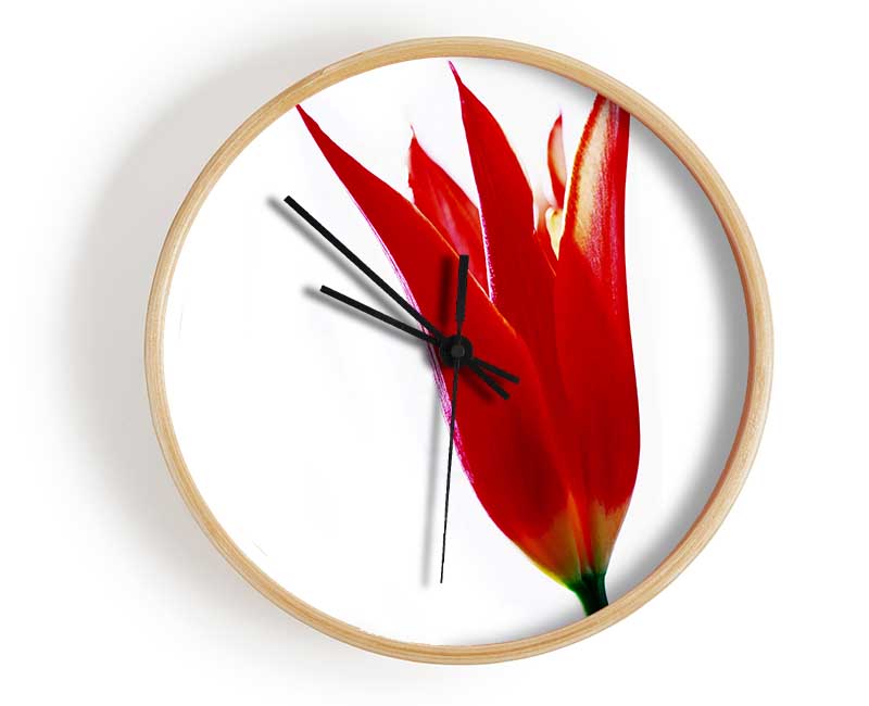 Single Fire Tulip Clock - Wallart-Direct UK