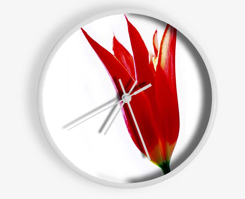 Single Fire Tulip Clock - Wallart-Direct UK